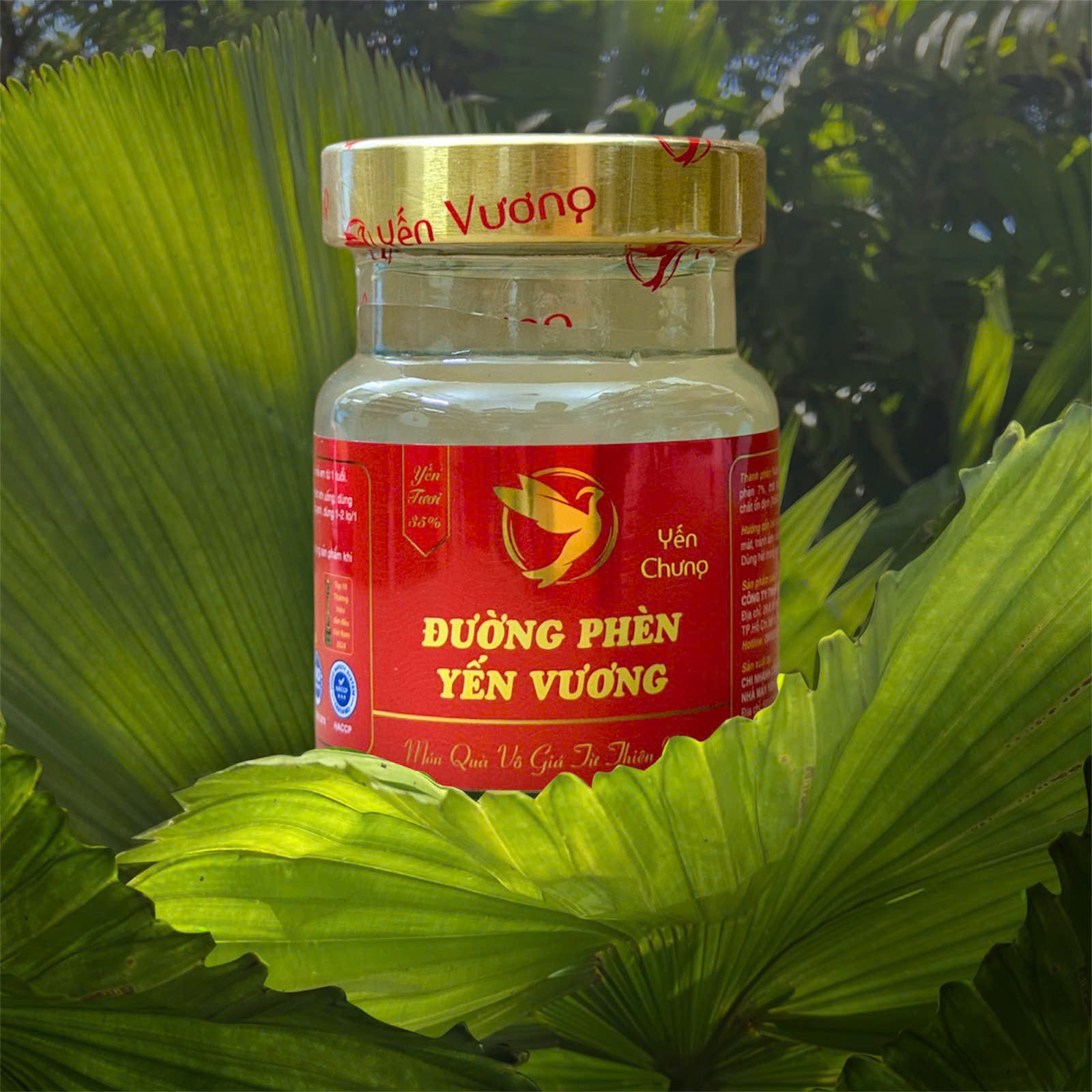 Hũ yến Vương 70ml Đường Phèn